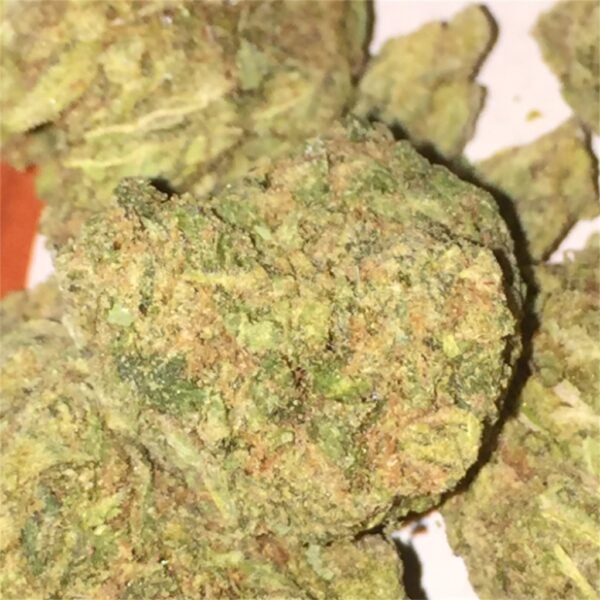 Green Dream Strain